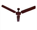 Electronic BLDC Motor Ceiling Fan